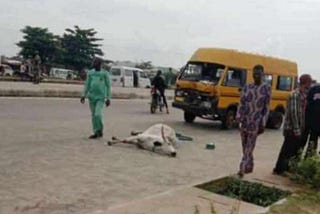 Herdsmen Stab Bus Driver To Death For Accidentally Killing Cow In Lagos