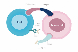 Single-cell analysis of CD8+ T cells in immune checkpoint blockade: some reproducible insights…