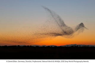 Deeply Hearing a Sub Agent in the Hive Mind — guided parts work instructions