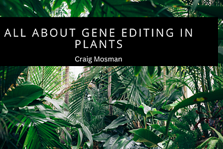 All About Gene Editing In Plants | Craig Mosman | Technology