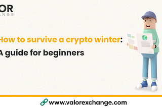 How to survive a crypto winter — A guide for beginners