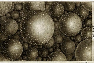 From Mezzotint to the Multiverse