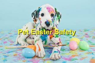 Easter Safety Tips for Your Pets