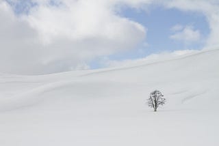 A lone tree on a snowy hill with clouds over the horizon