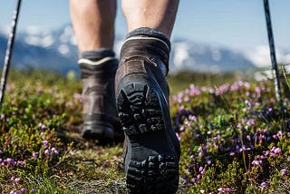 Take a Hike: Health benifits of Hiking