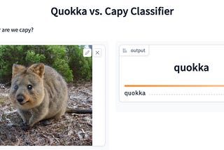 Quokka vs capybara classifier, deployed