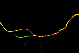 Regenerating neurons