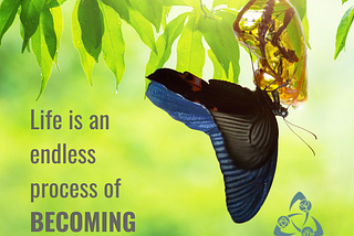 Life is an Endless Progression of BECOMING.