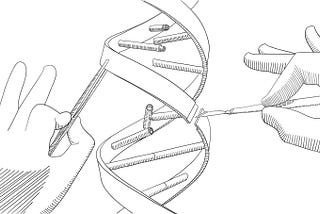 Prime Editing: The Future of Gene Editing?