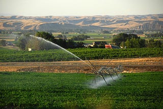 Capturing Holistic Scope 3 Impact: Water Usage in Food Supply Systems