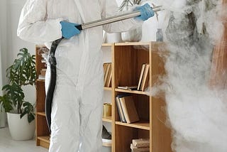 Common Pests at Home and How Fumigation Pest Control Services Can Help