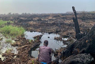 4 Dampak Penyiapan Lahan dengan Pembakaran terhadap Kondisi Biofisik Lahan Gambut