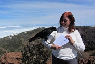 $6000 a year selling guide books for the city of La Palma