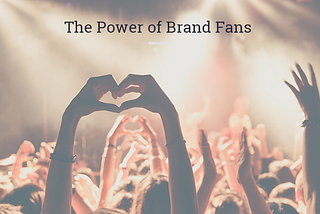 Brand Fans: Your Best Traffic Already Loves You
