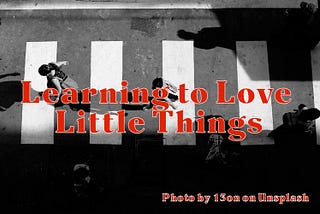 Learning to Love Little Things