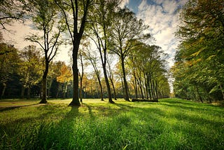 What’s Earth Day got to do with Wellbeing?