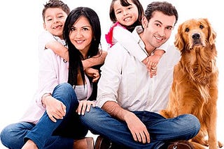 Tips For When You Bring Your New Dog Home