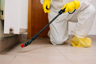 Successful Strategies For Pest Control Tampa