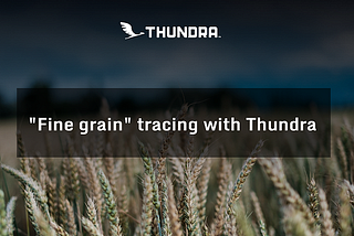 “Fine grain” tracing with Thundra