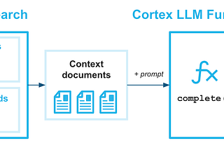 Cortex Search