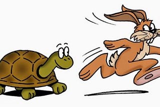 Turtle and Hare race