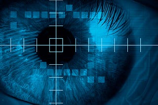 iris security