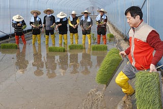 The following article originally appeared on the HANKYOREH’s website at https://english.hani.co.kr/a