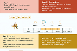 Fly Bites on Dog Infographic. Infographic created by SYDE Road, contains information about the three common types of biting flies in Ontario, their key physical characteristics, a description of how fly bites can appear on a dog.