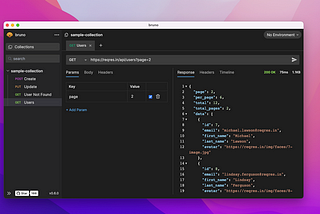 Bruno: An Open-Source API Developer Workbench