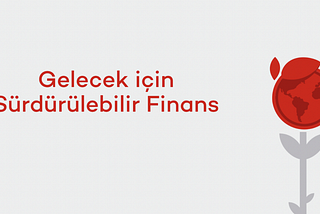 Gelecek için Sürdürülebilir Finans Bülten Serisi: 4. Bölüm