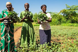 Climate-smart agriculture: Lessons from Kenya, for the World