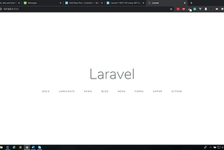 Laravel 7 inital pages