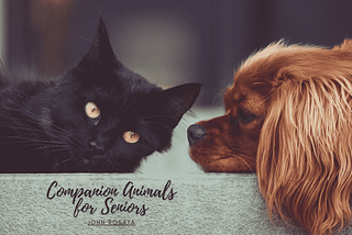 Companion Animals for Seniors | John Rosata | Animal Companionship