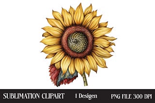 4th of July Sunflower Clipart Graphic Illustrations