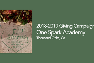 You Can Help. One Spark Fundraiser