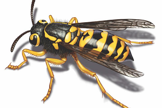Swiftly Remove Pests with Our Experienced Exterminators: Your Ultimate Solution for a Pest-Free…