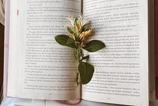 Where Are You in the Story?