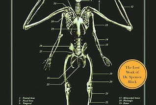 PDF -* Download -* The Resurrectionist: The Lost Work of Dr. Spencer Black [pdf books free]