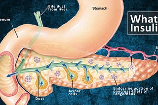 Insulin and how does it work