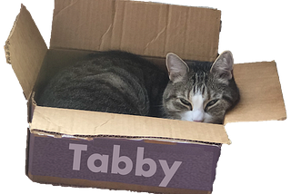 Tabby: A Language Model Architecture for Tabular and Structured Data Synthesis
