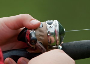 Guide to Fishing Reels: 6 Types of Fishing Reels