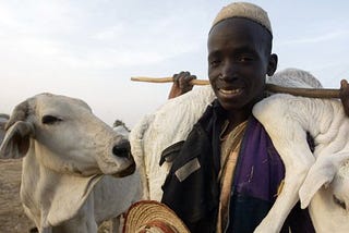 How Climate Change Is Driving Conflict Between Fulani Herdsmen And Farmers In Ghana