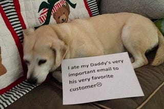 Can Dogs eat Emails?