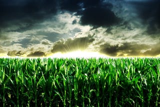 SKY ENGINE AI announces new synthetic data cloud win from major European agriculture manufacturer