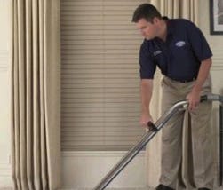 carpet cleaning sevices