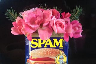 A Lesson in SPAM