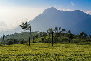 Best places to visit in ooty in 2024IExplurger|