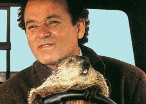 groundhog day