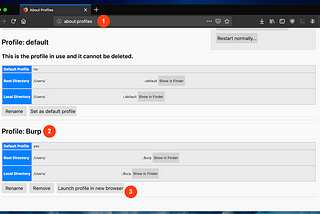 Firefox and Burp Suite