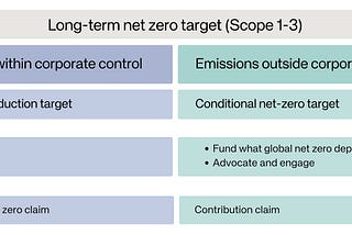 A new lens on corporate net zero